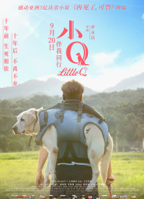 许雷沈美茹小说免费阅读最新章节